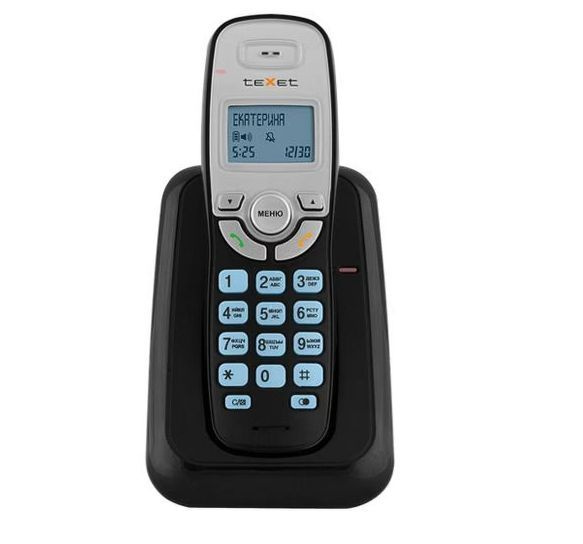 Бесшнуровой телефонный аппарат Texet TX-D6905A #1