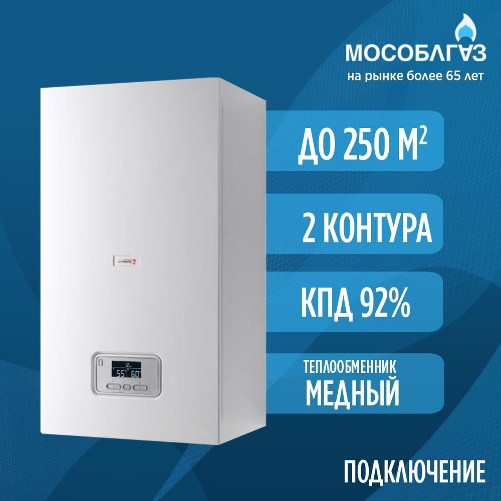 Protherm Panther 25 Ktv Купить