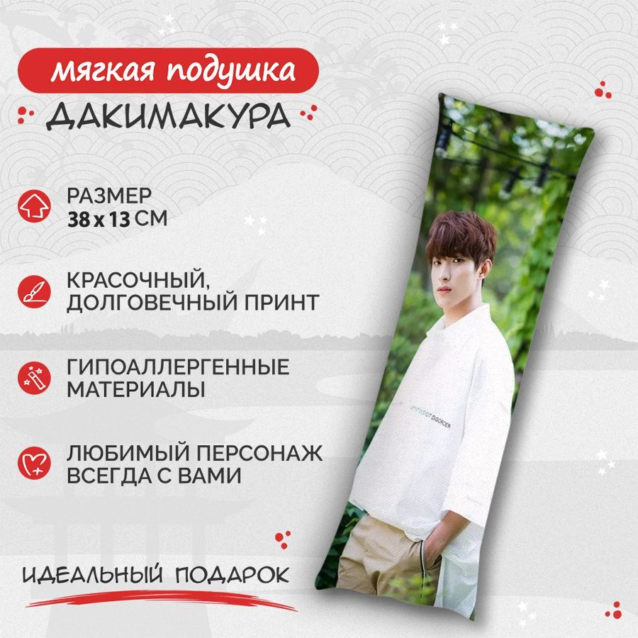 Подушка Дакимакура SEVENTEEN - Вону и Хоши 38 см. арт. B0972 #1