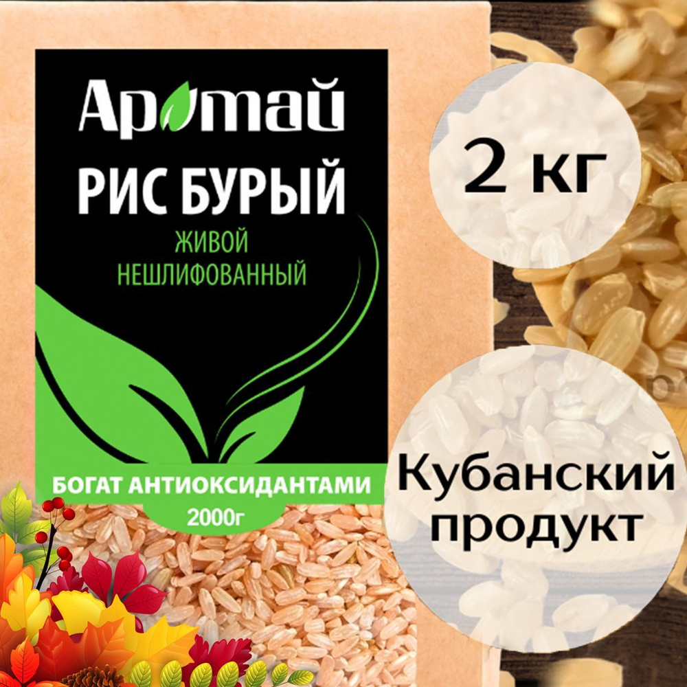 Рис бурый живой нешлифованный, АРАТАЙ, 2кг. - купить с доставкой по  выгодным ценам в интернет-магазине OZON (353947970)