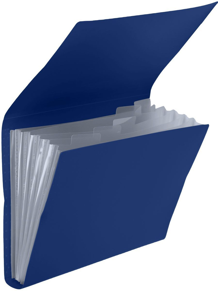 Папка-органайзер канцелярская для документов, бумаг, файлов А4 с 6-ю отделениями и разделителями.  #1