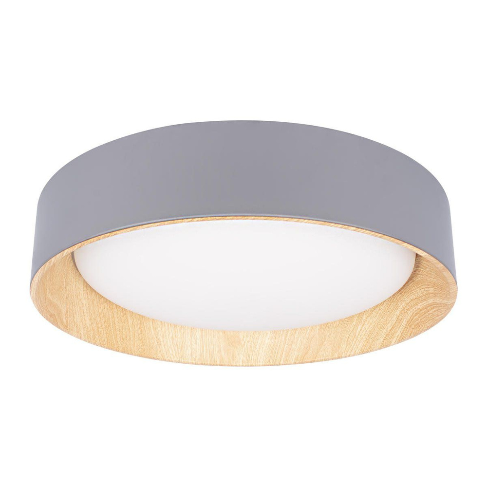 Потолочный светильник Loft IT Coin 10202 Grey #1