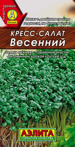 Кресс-салат ВЕСЕННИЙ Аэлита, раннеспелый сорт, приятный горчичный вкус, отличается очень быстрым ростом, #1