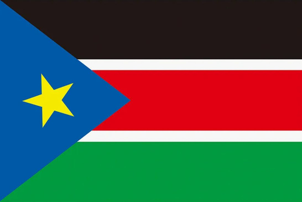 Флаг Южного Судана 90х135 см #1
