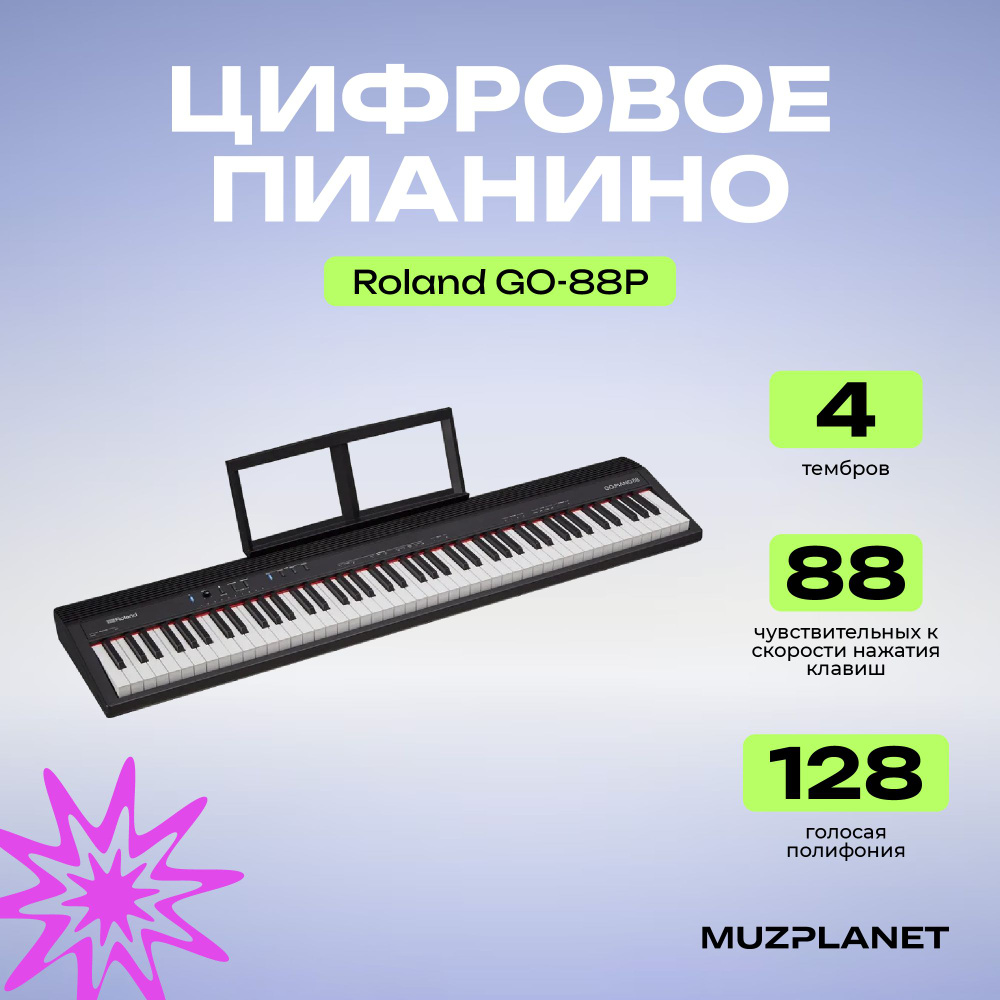 Roland GO-88P Цифровые пианино #1