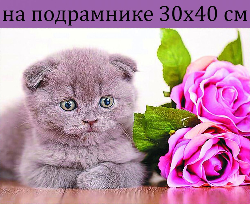 Алмазная мозаика на подрамнике 30х40 Котик цветы, алмазная вышивка 40х30 на подрамнике  #1