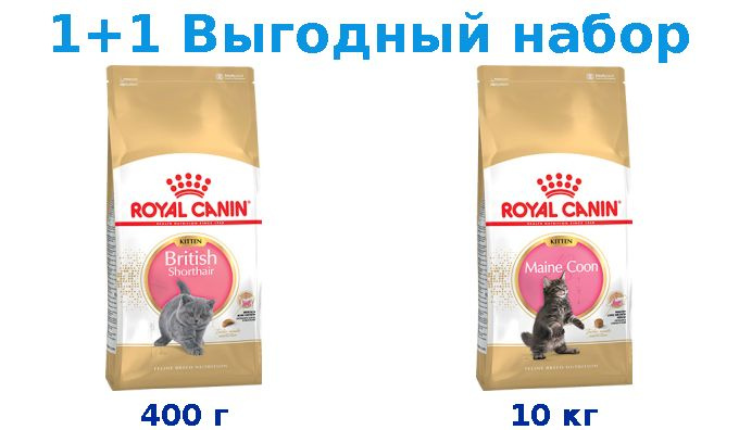 Сухой корм Котята, Royal Canin Breed cat Kitten British Shorthair 400 г + Котята, Royal Canin Breed cat #1