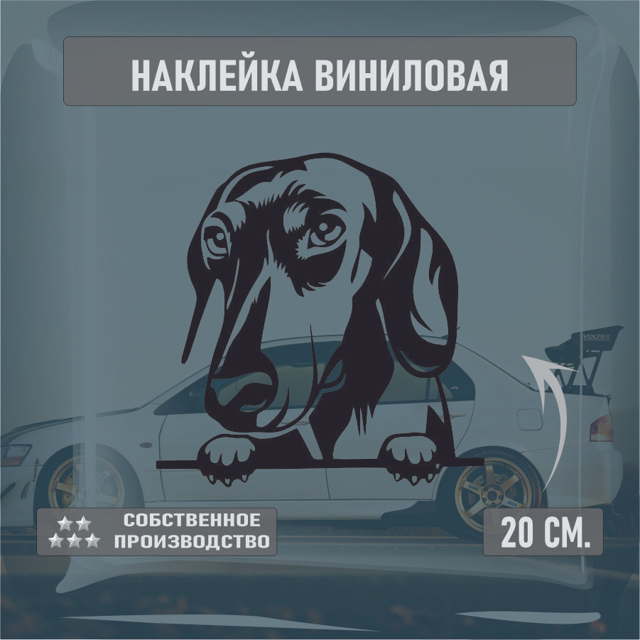 Наклейки на автомобиль, на стекло заднее, Виниловая наклейка - Собака , Такса, собака в машине 20см. #1