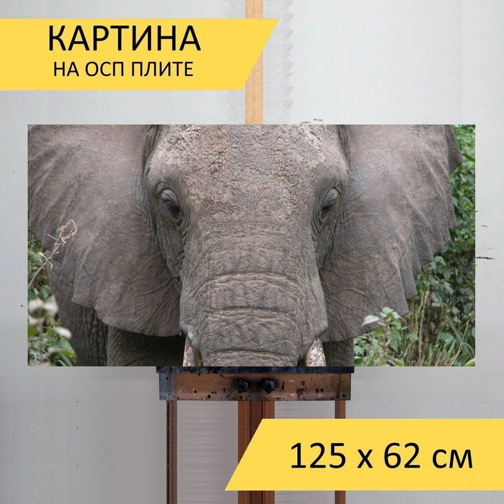 LotsPrints Картина "Слон, животное, млекопитающее 50", 125 х 62 см  #1