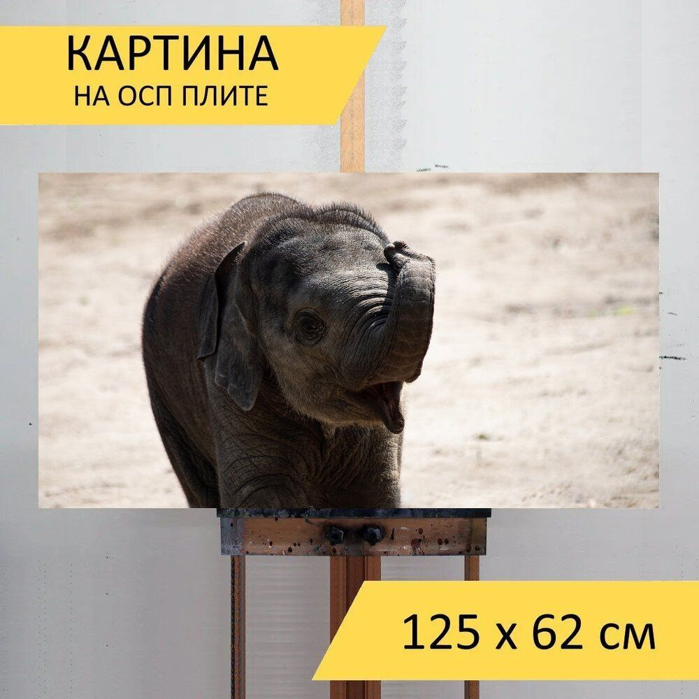 LotsPrints Картина "Слон, млекопитающее, животное 37", 125 х 62 см  #1