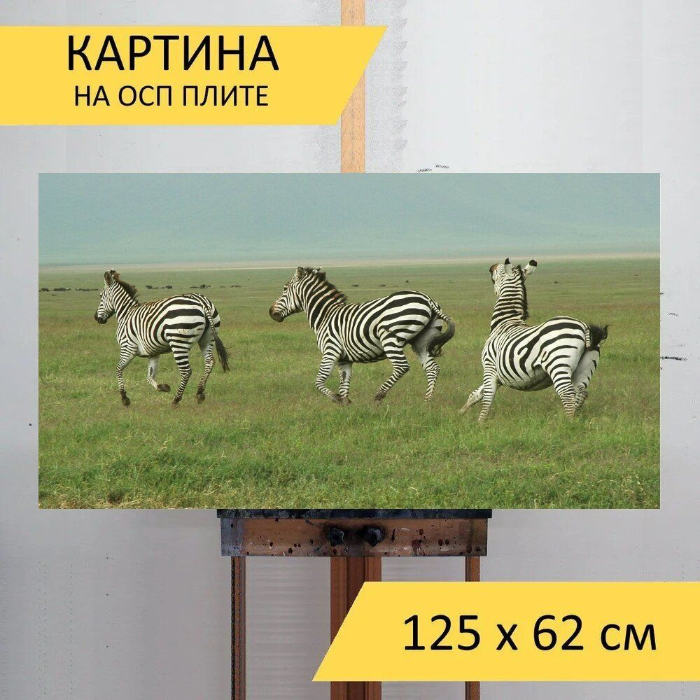 LotsPrints Картина "Зебра, сафари, танзания 31", 125  х 62 см #1