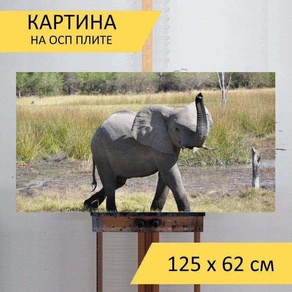 LotsPrints Картина "Слон, животное, африке 38", 125  х 62 см #1