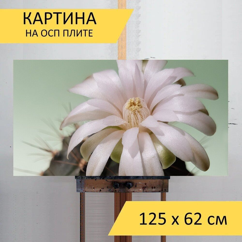 LotsPrints Картина "Кактус, цветок, бледно розовый 40", 125 х 62 см  #1