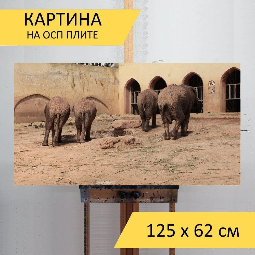 LotsPrints Картина "Слон, ангола, зоопарк 82", 125  х 62 см #1