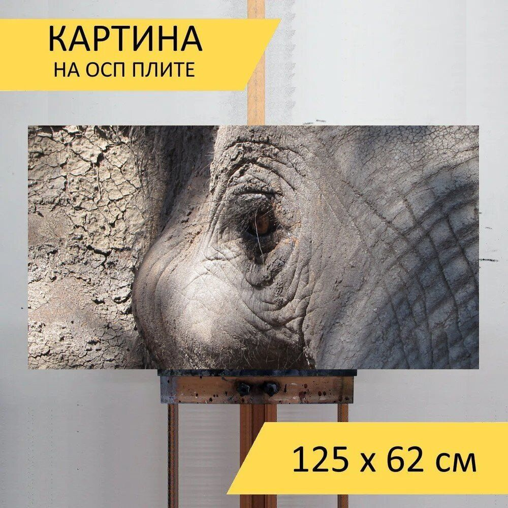 LotsPrints Картина "Слон, глаз, африке 77", 125  х 62 см #1