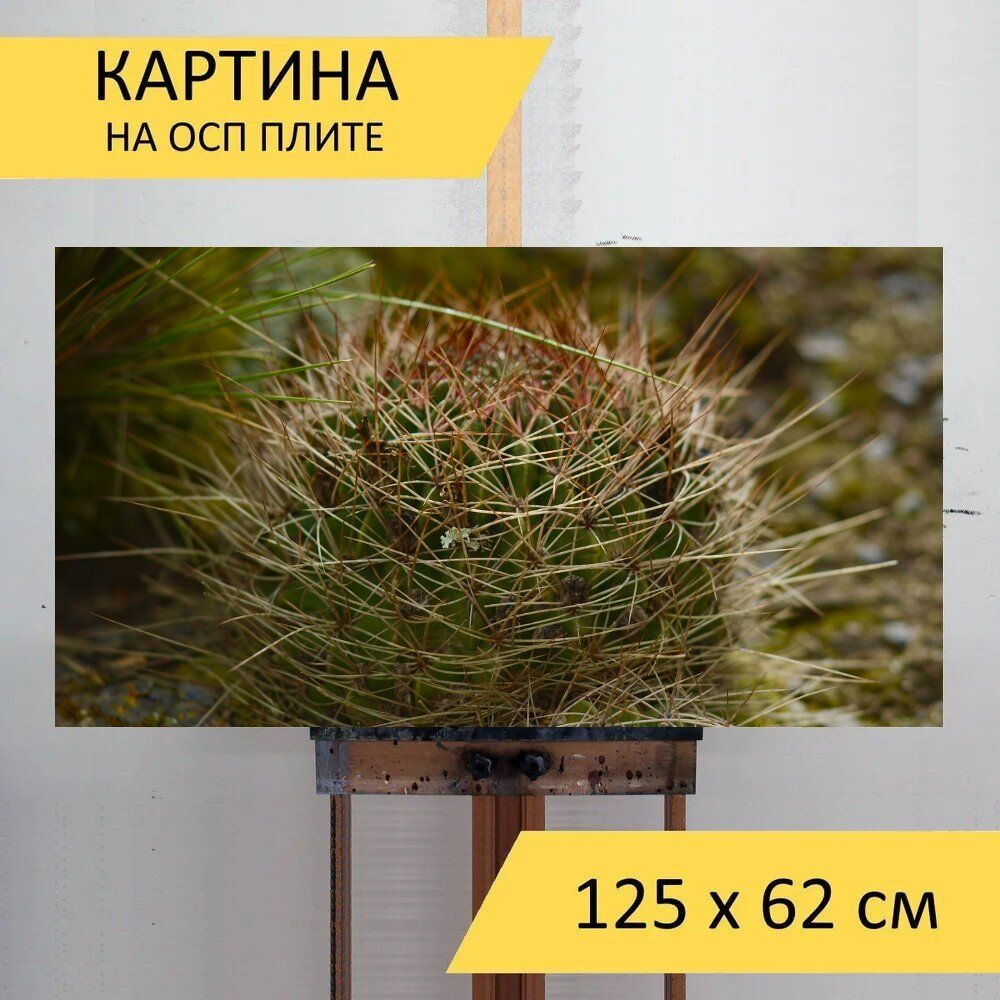 LotsPrints Картина "Кактус, природа, завод 92", 125  х 62 см #1