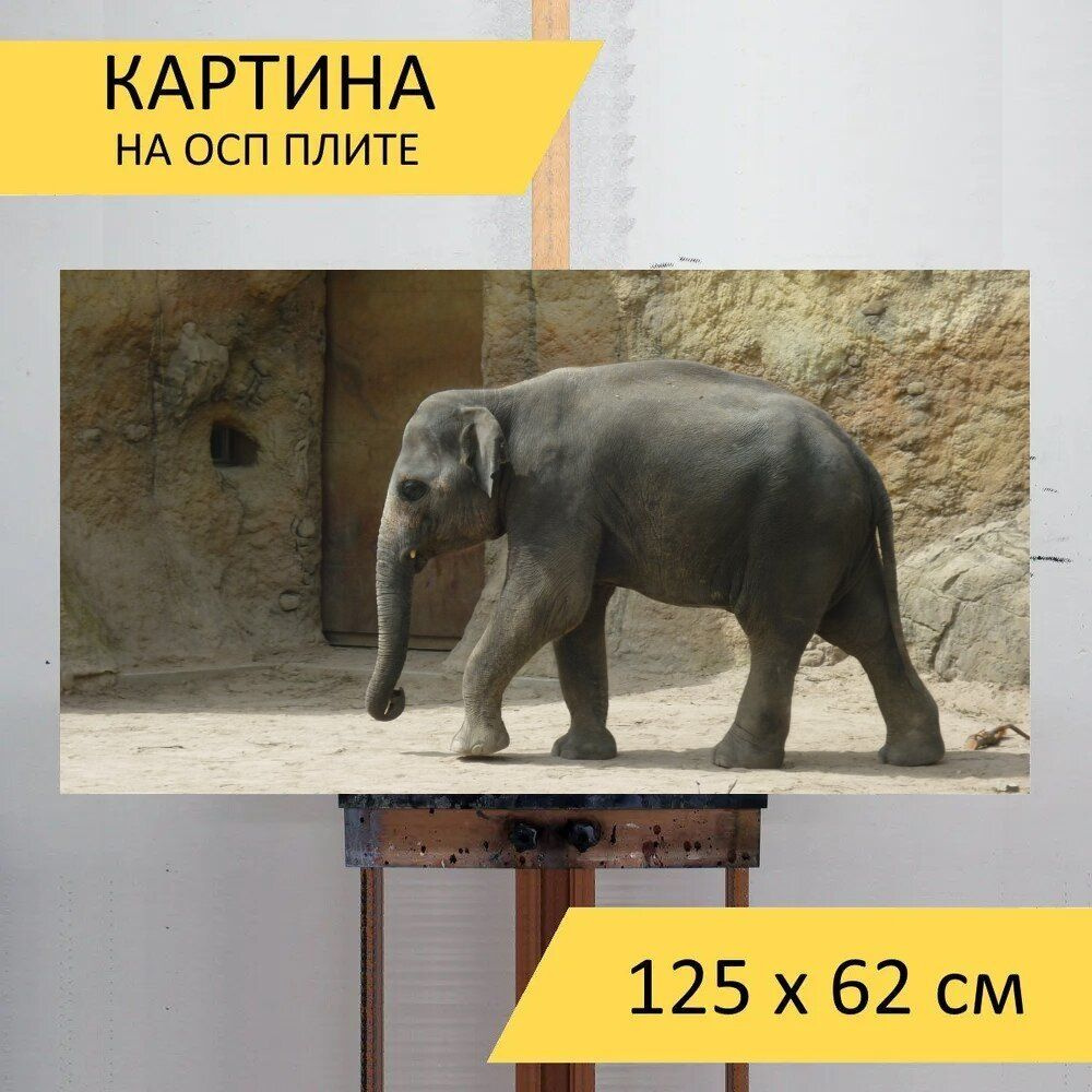 LotsPrints Картина "Слон, зоопарк, дикий 83", 125  х 62 см #1