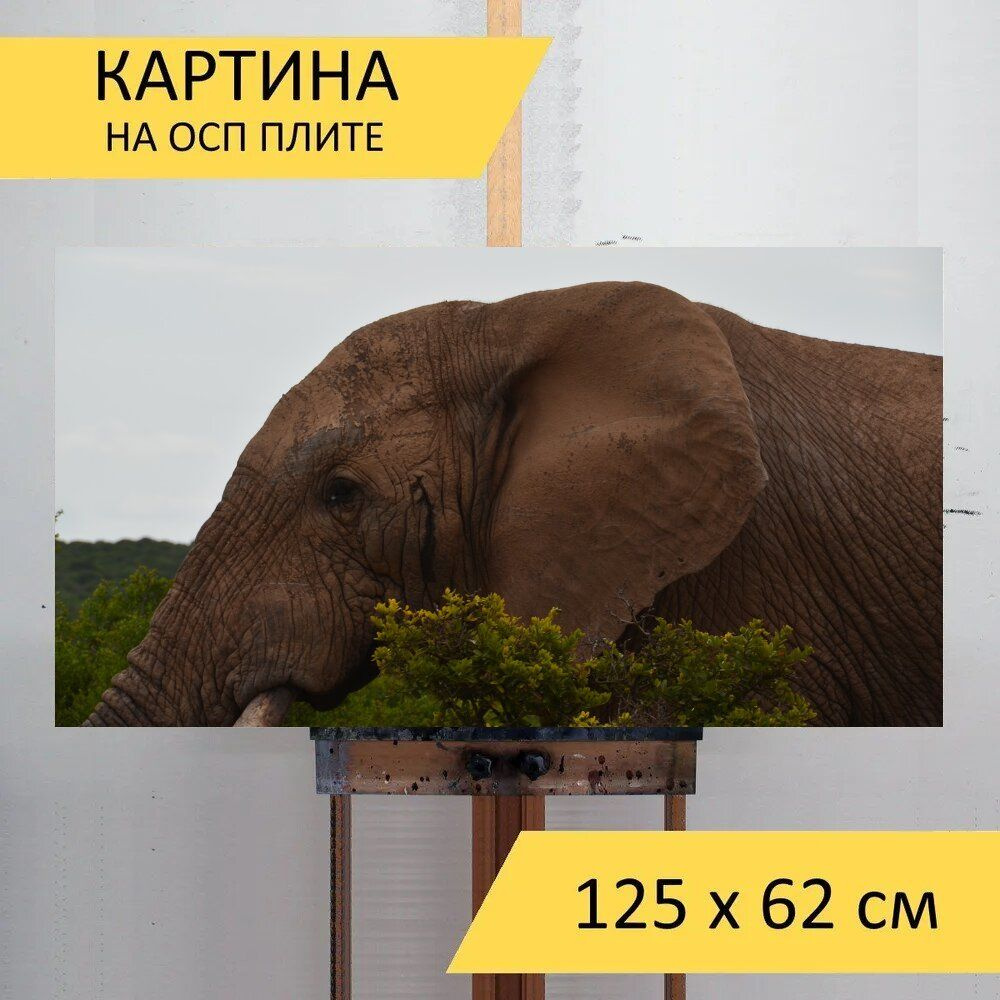 LotsPrints Картина "Слон, бык, слон бык 77", 125  х 62 см #1