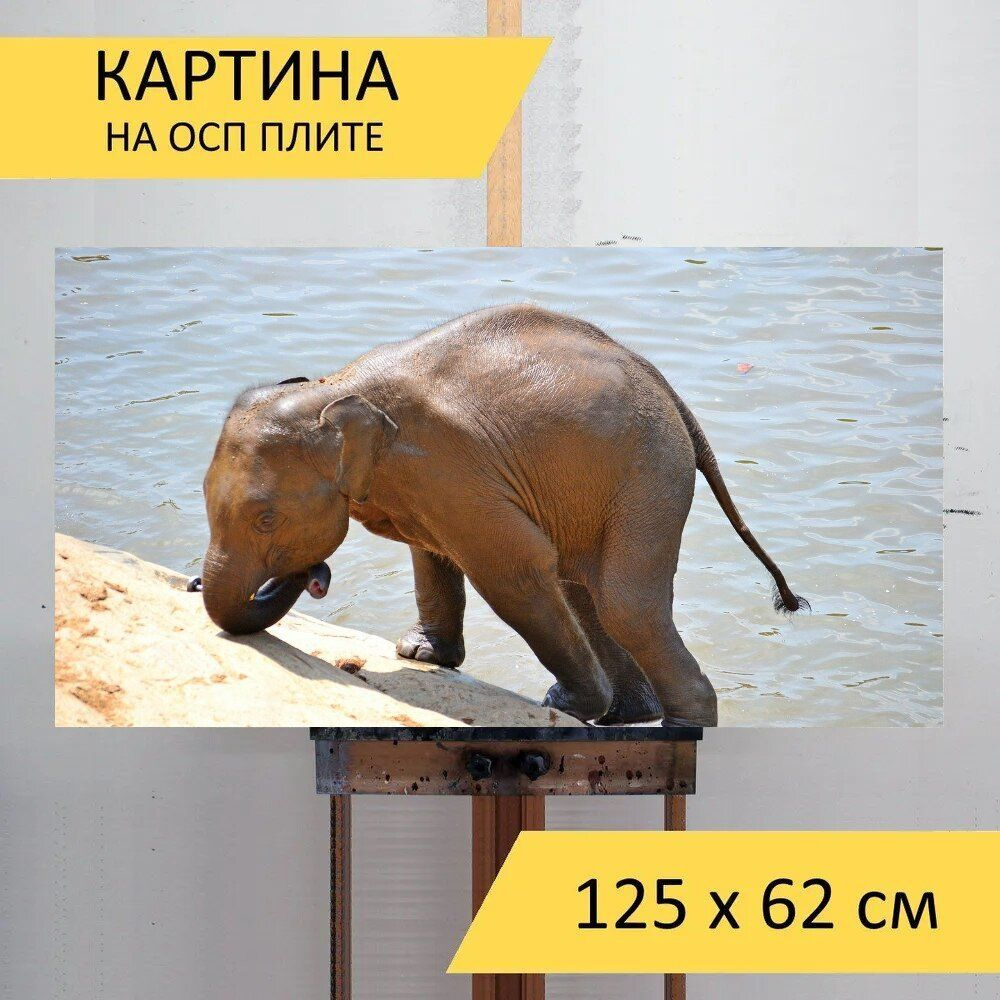 LotsPrints Картина "Слоненок, слоны, ванна 34", 125  х 62 см #1