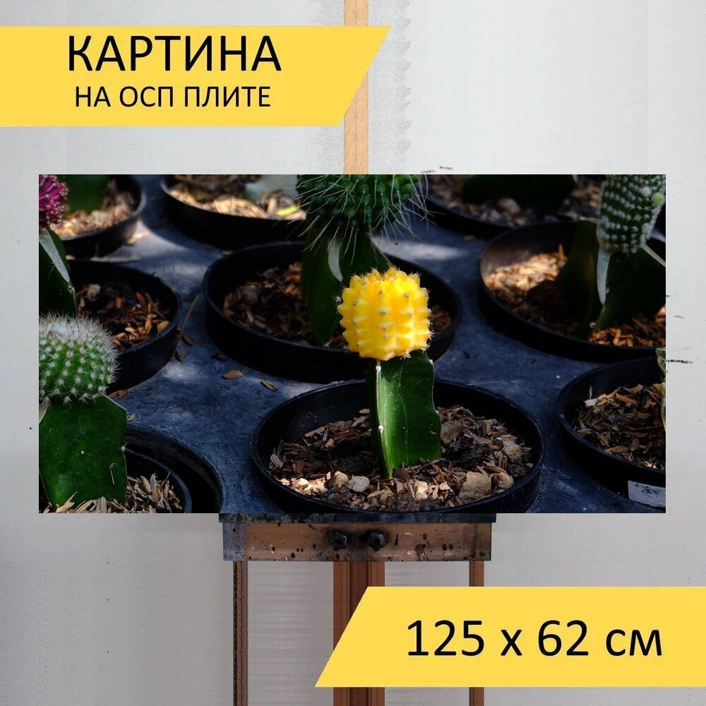 LotsPrints Картина "Кактус, суккуленты, растения 73", 125  х 62 см #1