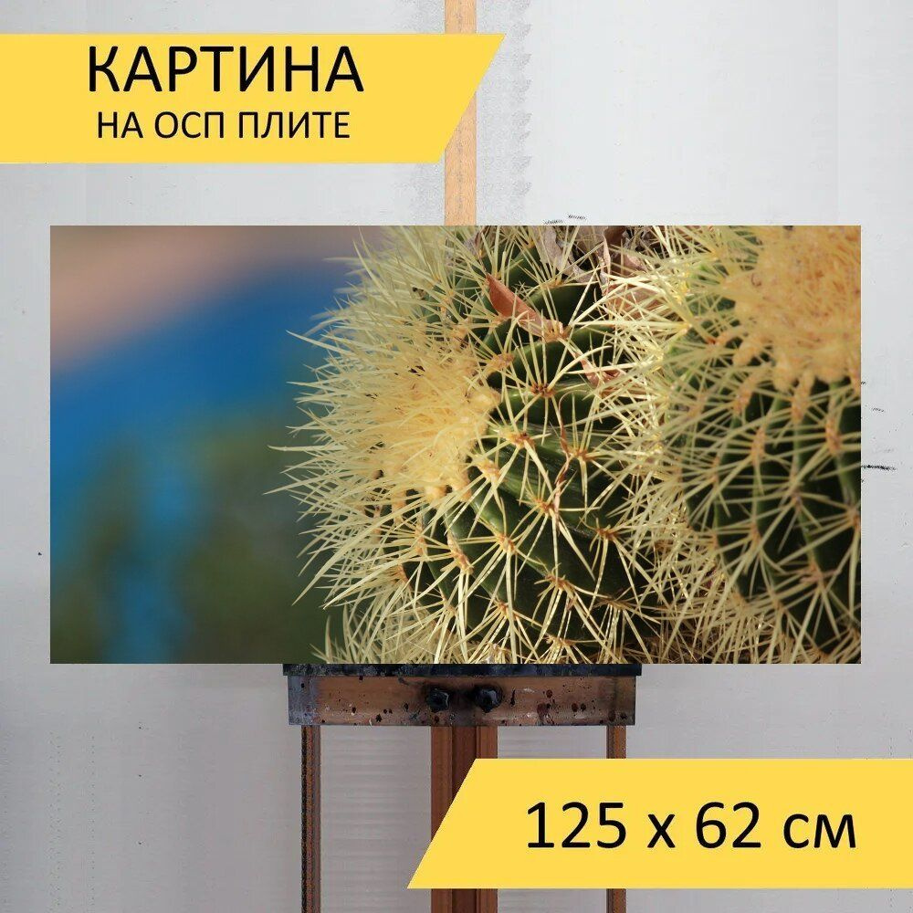 LotsPrints Картина "Кактус, колючий, кактусы 34", 125  х 62 см #1