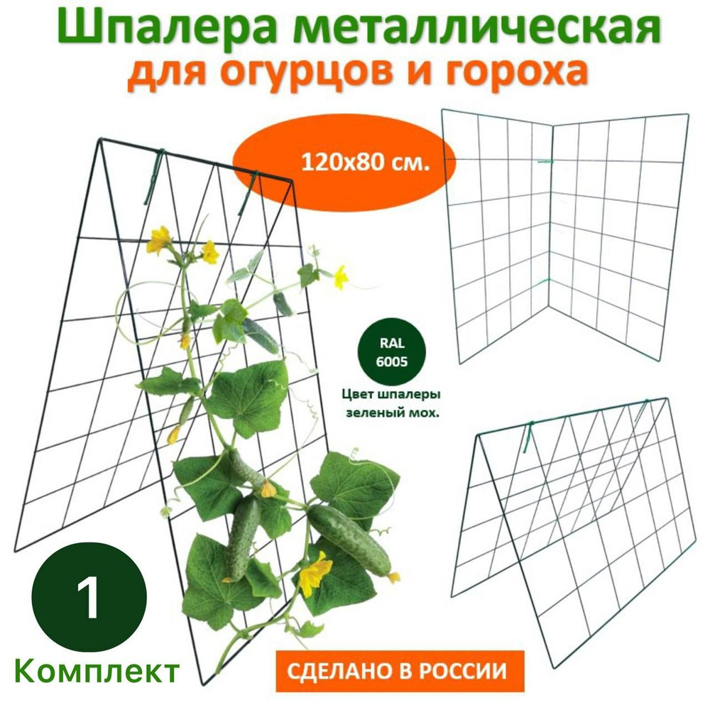 Шпалера Домик двойная, 1.2м * 0.8м опора садовая из металла для вьющихся растений, овощей, огурцов, гороха #1