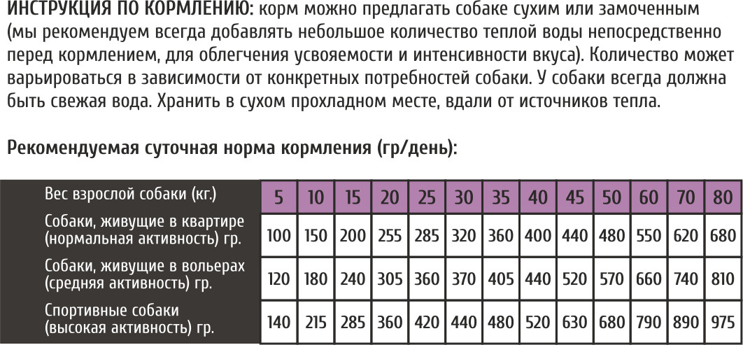 Текстовое описание изображения