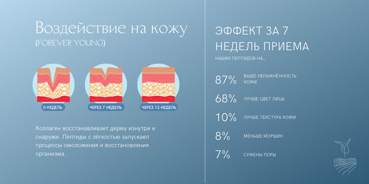 Текстовое описание изображения