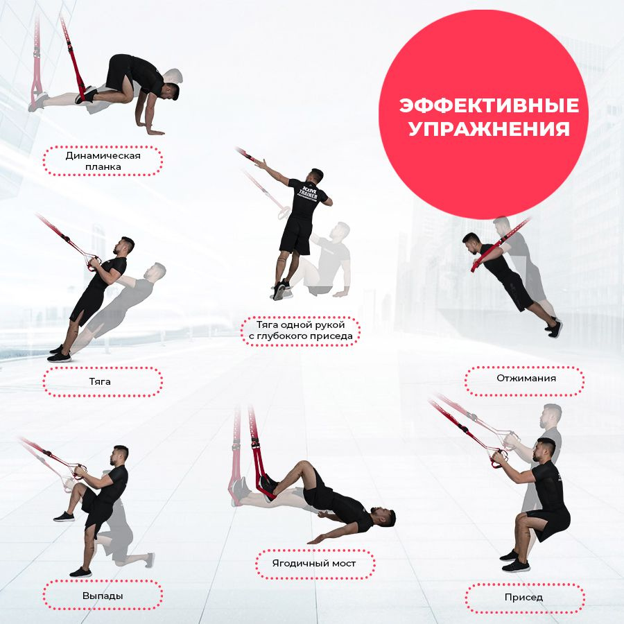 Петли для функционального тренинга Yamaguchi Training System