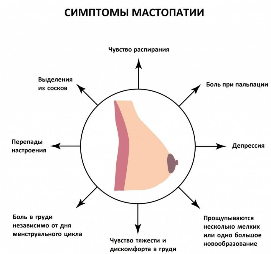 Состав :