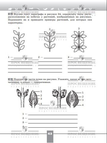 Биология. Рабочая тетрадь. 6 класс. Базовый уровень. ФГОС | Biology. Workbook. Grade 6. Basic Level. Federal State Educational Standard - Ozon image 5