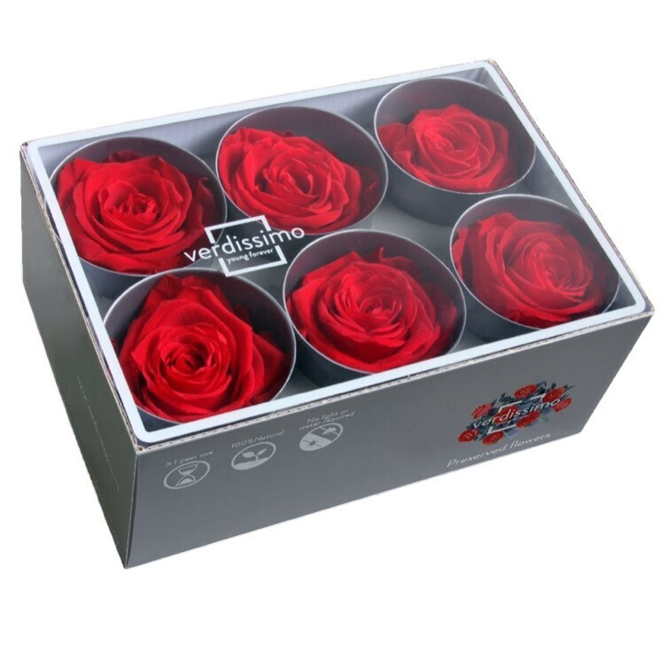 Бутоны розы стабилизированные "Красные" 6шт /флористический материал/для создания букетов/  #1