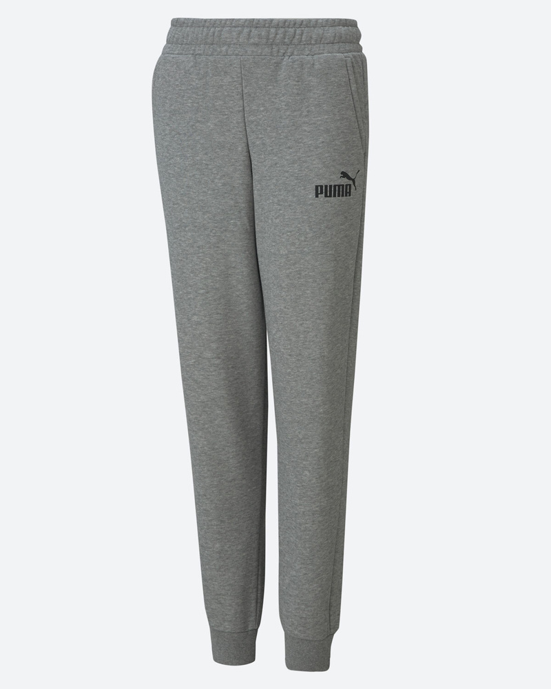 Брюки спортивные PUMA Ess Logo Pants Tr Cl B #1