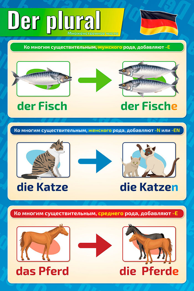 Плакат обучающий А2 Множенственное число по немецкому языку 457x610 мм  #1