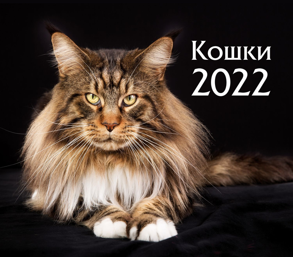 Календарь ND Play на 2022 год. Кошки (настольный, домик) #1