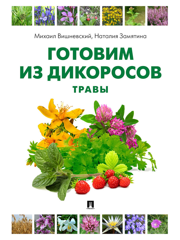 Готовим из дикоросов. Травы. | Вишневский Михаил Владимирович  #1