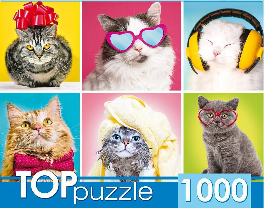 Пазл TOP Puzzle 1000 деталей, элементов: Смешные котята #1