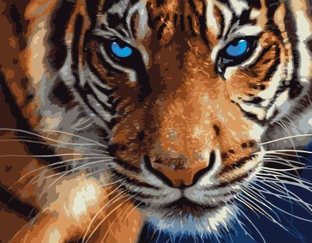 Картина по номерам 40х50 на холсте Голубоглазый тигр #1