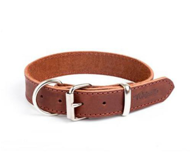 Ошейник для собак, стальная фурнитура, кожаный, коньяк, 25 ммх40 см ...