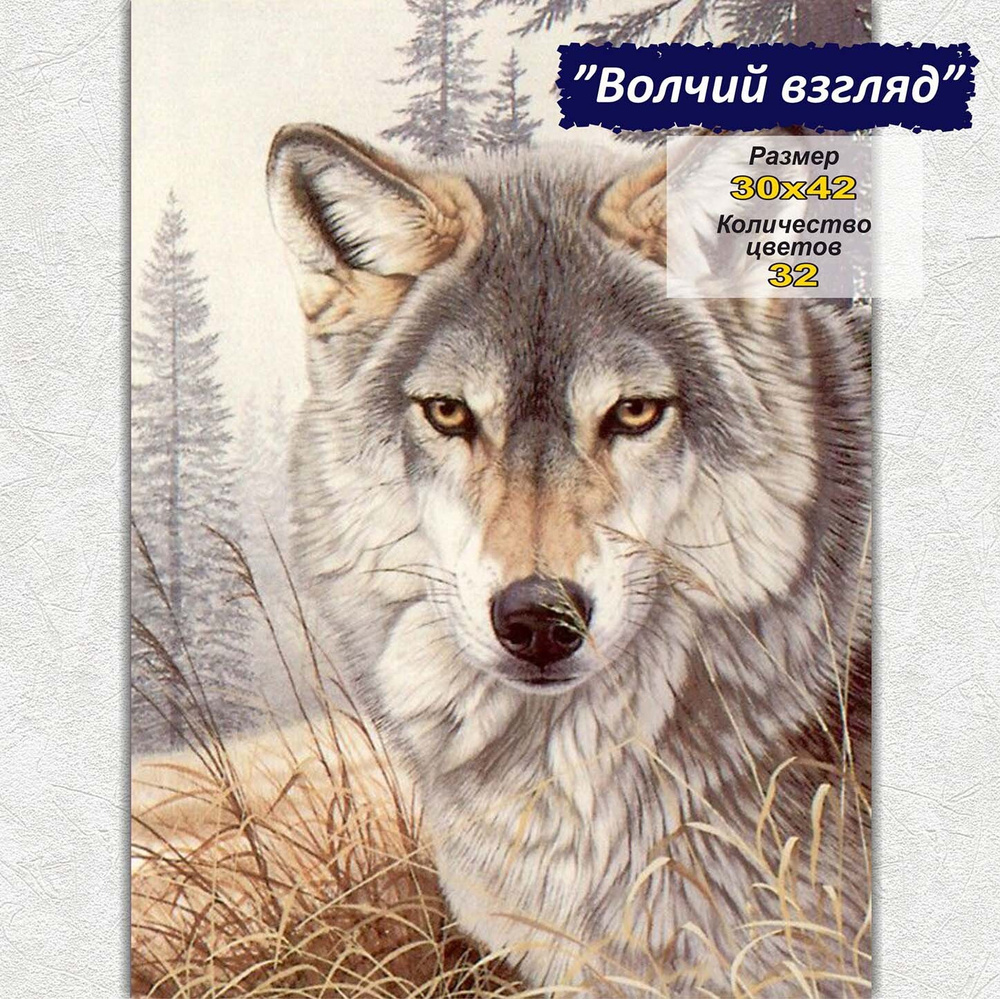 Алмазная мозаика Милато вышивка без подрамника 30х42 "Волчий взгляд" картина с квадратными стразами F-278 #1