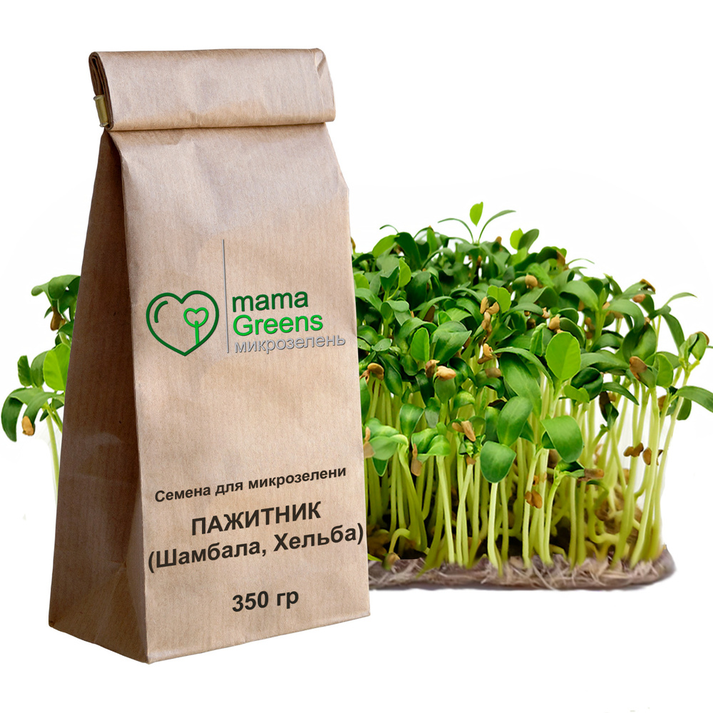 Семена Пажитник (Шамбала, Хельба) 350 гр - весовые семена для выращивания микрозелени и проращивания #1