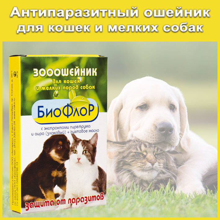 Ошейник 35 см. антипаразитный для животных/БИО ошейник для кошек и для собак мелких пород от клещей, #1