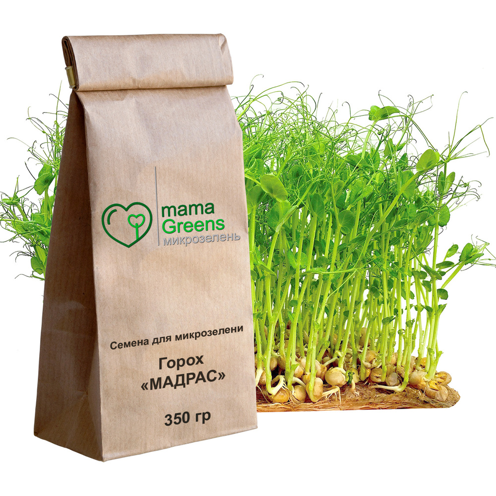 Горох Мадрас 350 гр - Семена для микрозелени, фитнес питание, микрозелень гороха зеленый усатый семена #1