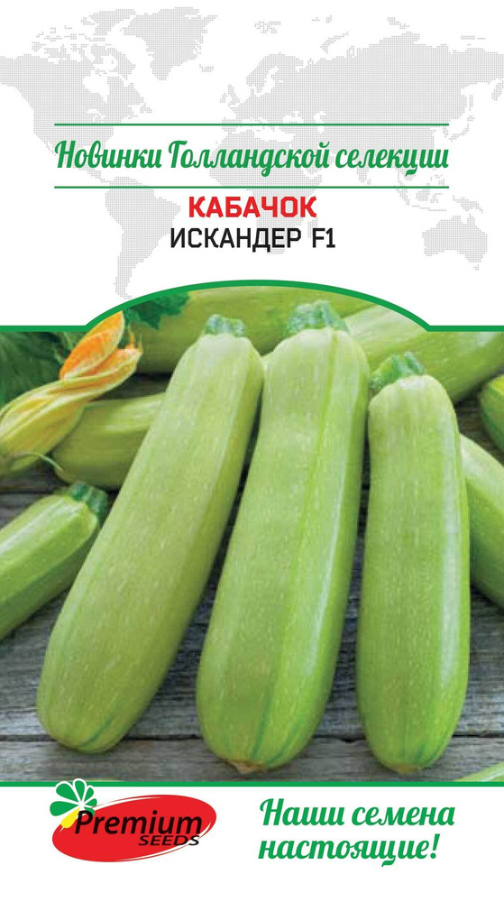 Кабачок кустовой ранний ИСКОНДЭР голландская селекция (Семена ПРЕМИУМ СИДС, 4 шт. семян в упаковке)  #1