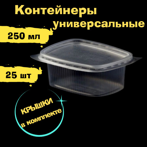 Одноразовый контейнер с крышкой 250 мл,25 шт для заморозки и хранения продуктов, ягод, сухарей, салатов, #1