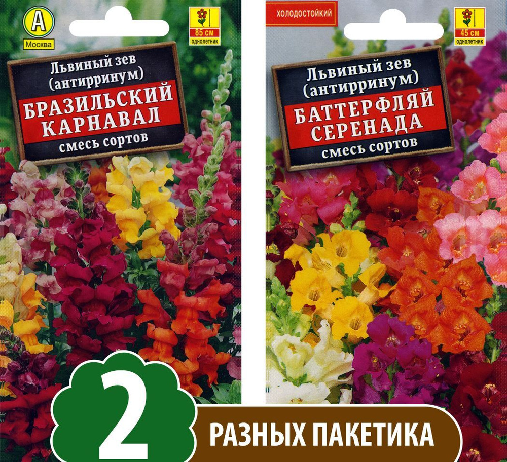 Семена Львиный зев Баттерфляй Серенада + Бразильский Карнавал, однолетние цветы для сада, 2 разных пакетика #1