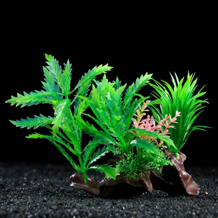Растение искусственное аквариумное на платформе в виде коряги, 18 см, зелёное  #1