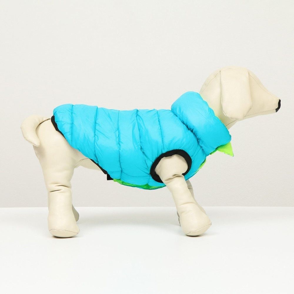 Куртка для собак Sima-Land двухсторонняя L55 бирюзовая/салатовая  #1