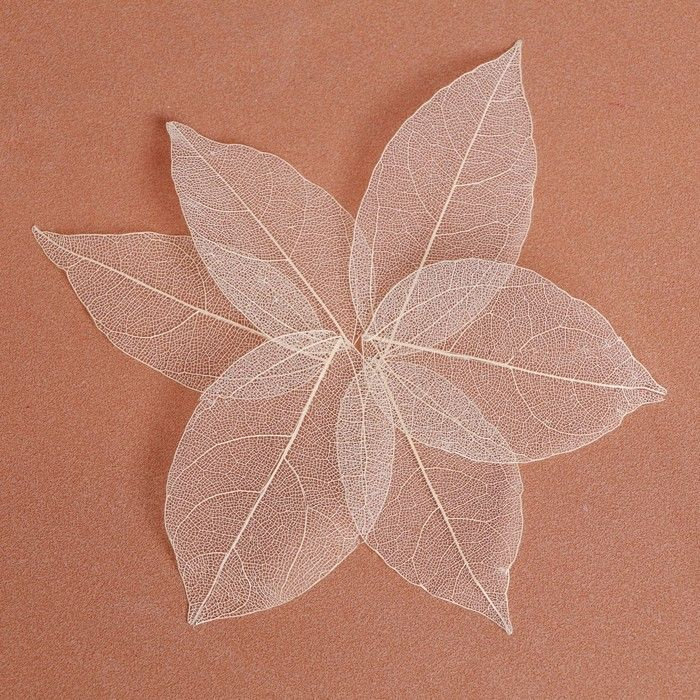 Школа талантов Сухие листья, размер 1 шт:: 8х5 см, цвет белый, 2 набора по 5 штук.  #1