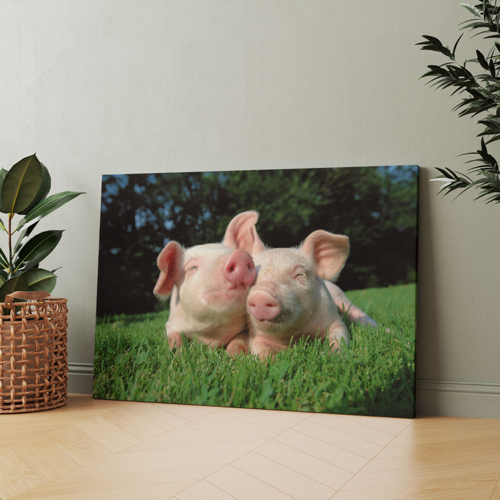 Картина на холсте (две хрюшки поросята свинья) 60x80 см/для интерьера/в комнату/на стену/в подарок  #1
